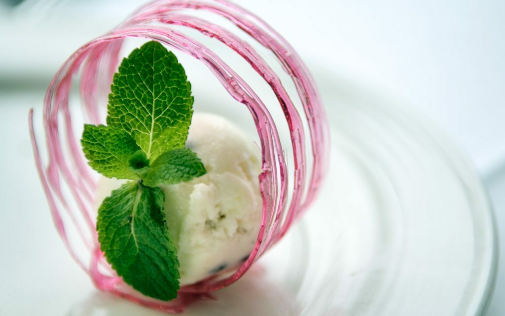 Food photography Example - ice cream in sugar circle with mint leaves