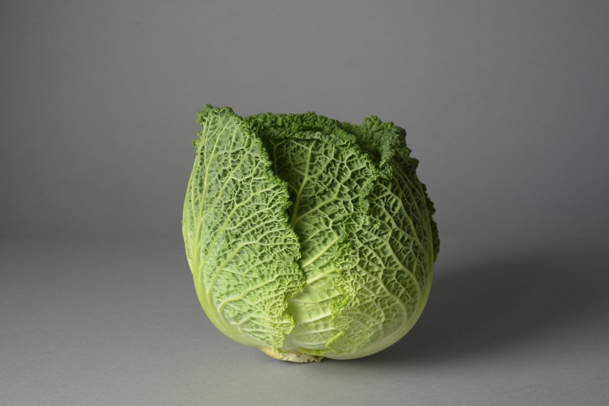 Savoy cabbage