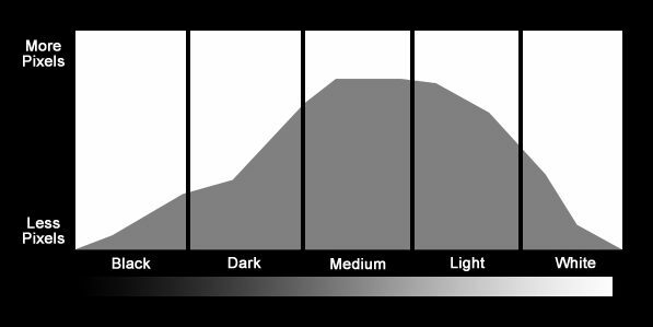 How to read histograms Photography Firm