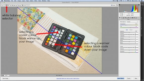 Don't Forget to Colour Check! Photography Firm