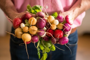 Styled Food Photography Photography Firm