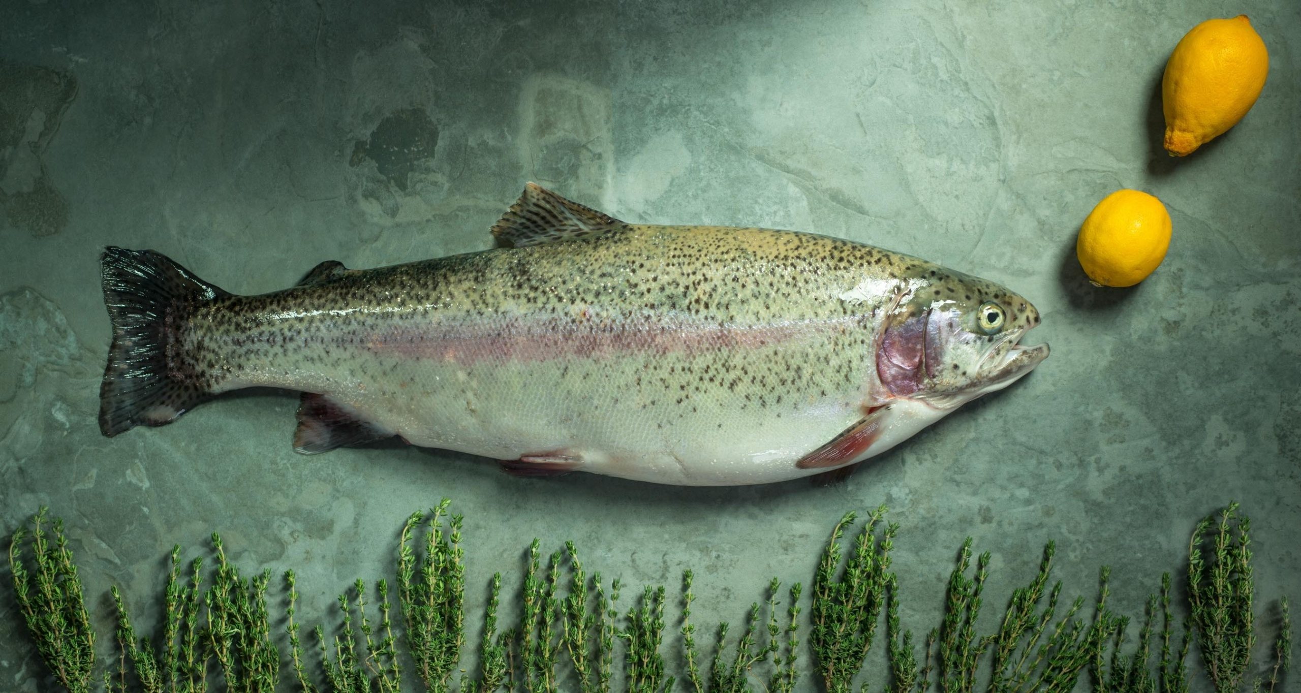 Large Whole Trout on Green Background Blowing Lemon Bubbles