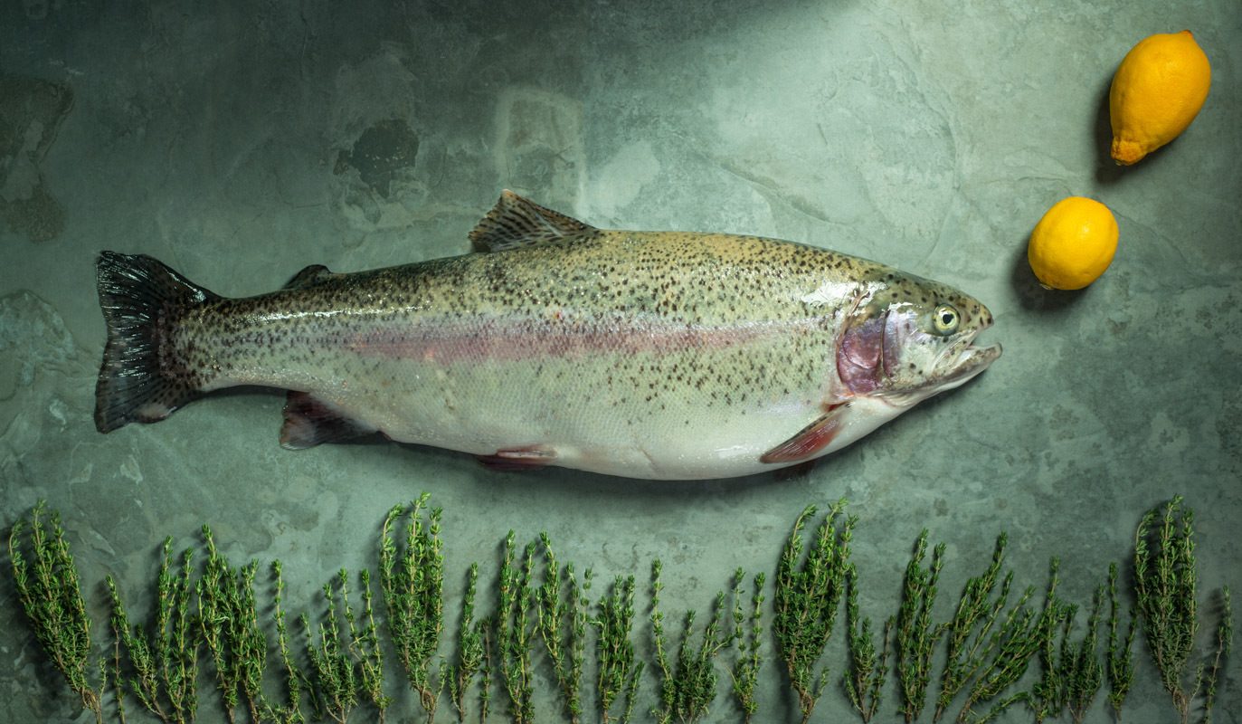 Large Whole Trout on Green Background Blowing Lemon Bubbles