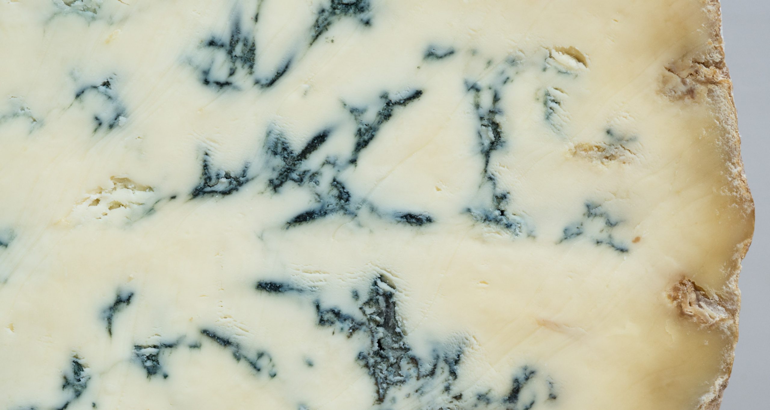Stitchelton cheese detail
