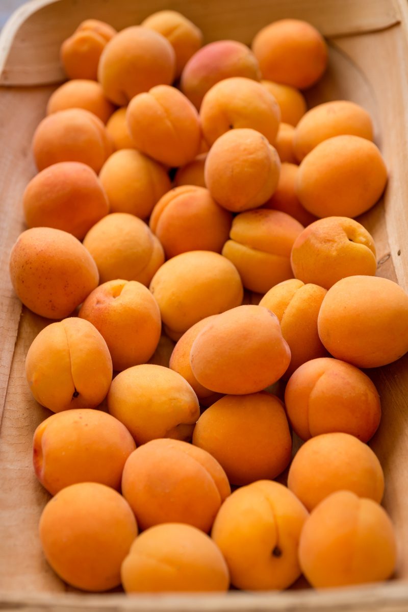 Apricots in a wooden basket