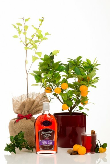 NOTHS and Styled Product Photography Photography Firm