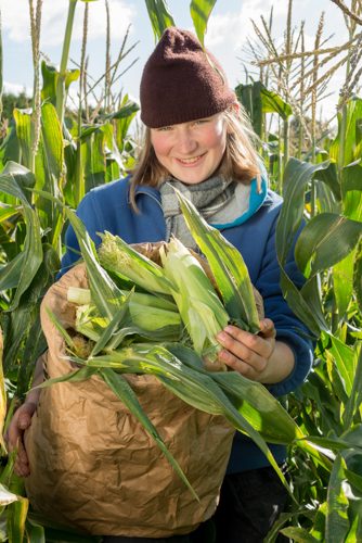 Smiling woman in corn field holding bag of organic cobs