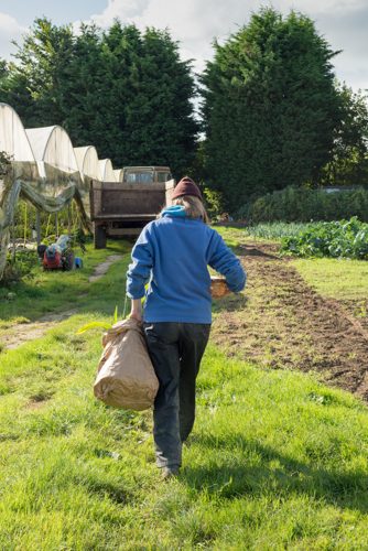 woman carries bag of organic produce in country setting