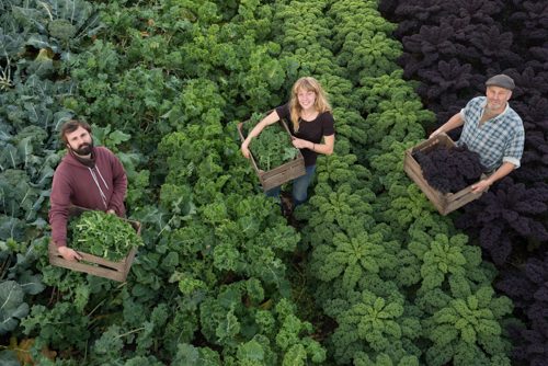 smiling workers in field holding crates of organic produce