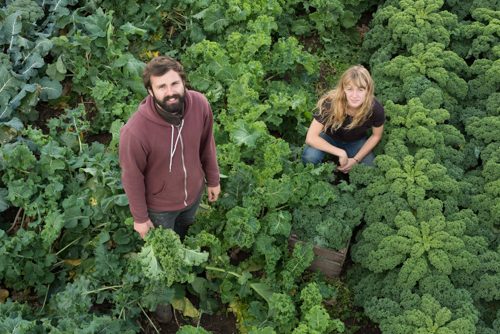 Smiling man and woman in field of organic egetables