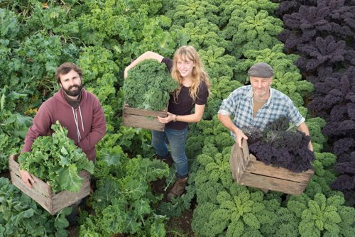 ssmiling people hold crates of organic kale in field