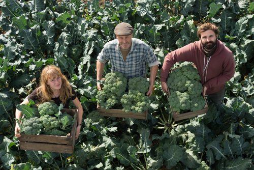 Smiling workers hold crates full of organic vegetables in field