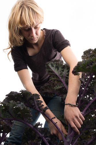 Blonde woman cuts stem of purple organic kale with knife