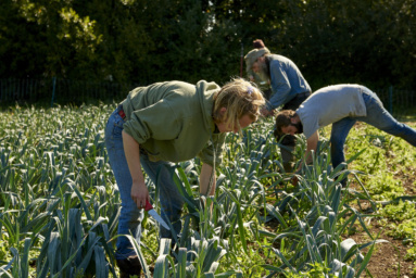 Case Study: Barcombe Nurseries Photography Firm