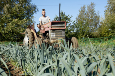 Case Study: Barcombe Nurseries Photography Firm